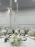 Centrepiece Candlabra clear acrylic ghost