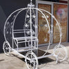 Cinderella Carriage